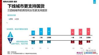 国产57页,揭秘我国科技发展的新篇章  第3张